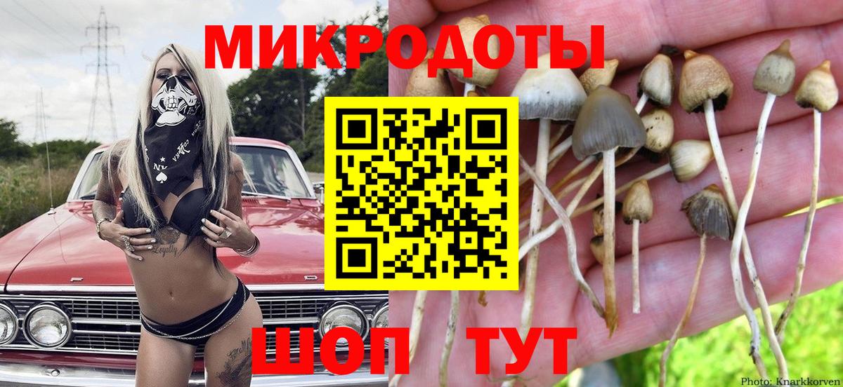 Псилоцибиновые грибы прущие грибы Тимашёвск